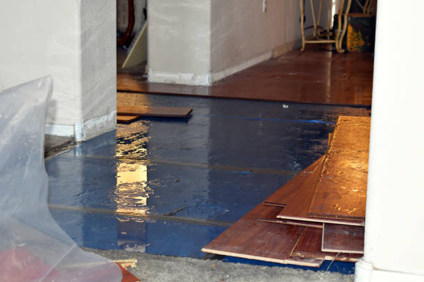 Professional Burst Pipe Cleanup technician working in Algodones, NM